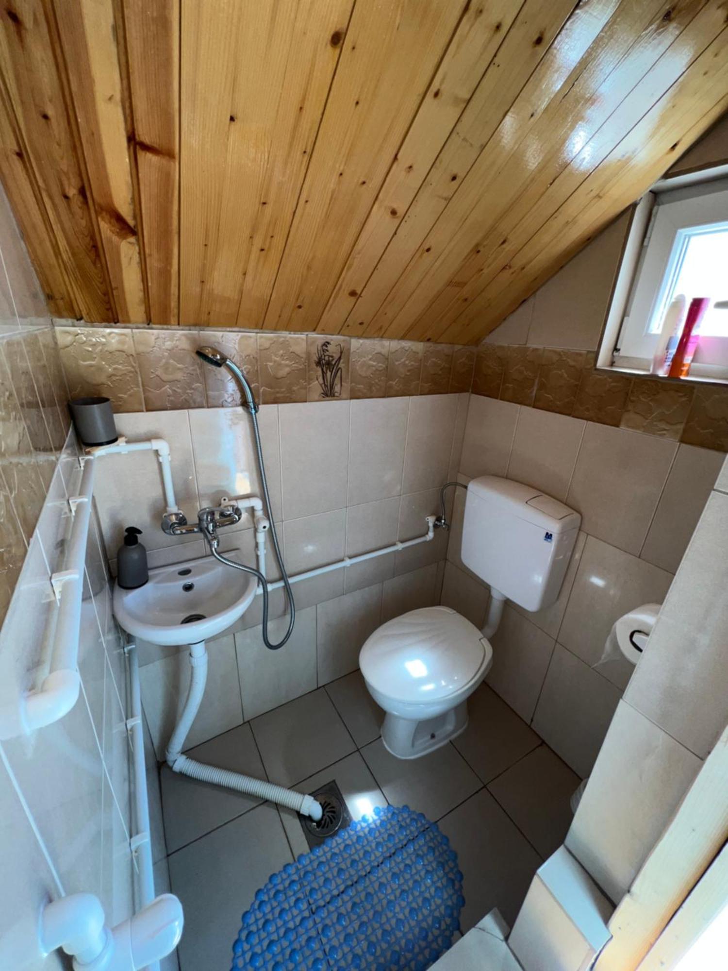זבליאק Homestay Djerkovic מראה חיצוני תמונה